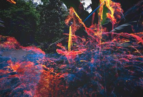 Titan arum flower in the Rainforest Biome